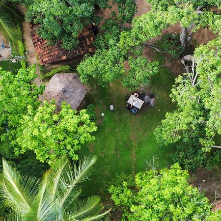 Eco Village Kalundewa Dambulla Exteriér fotografie