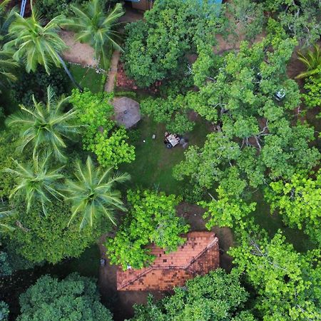Eco Village Kalundewa Dambulla Exteriér fotografie