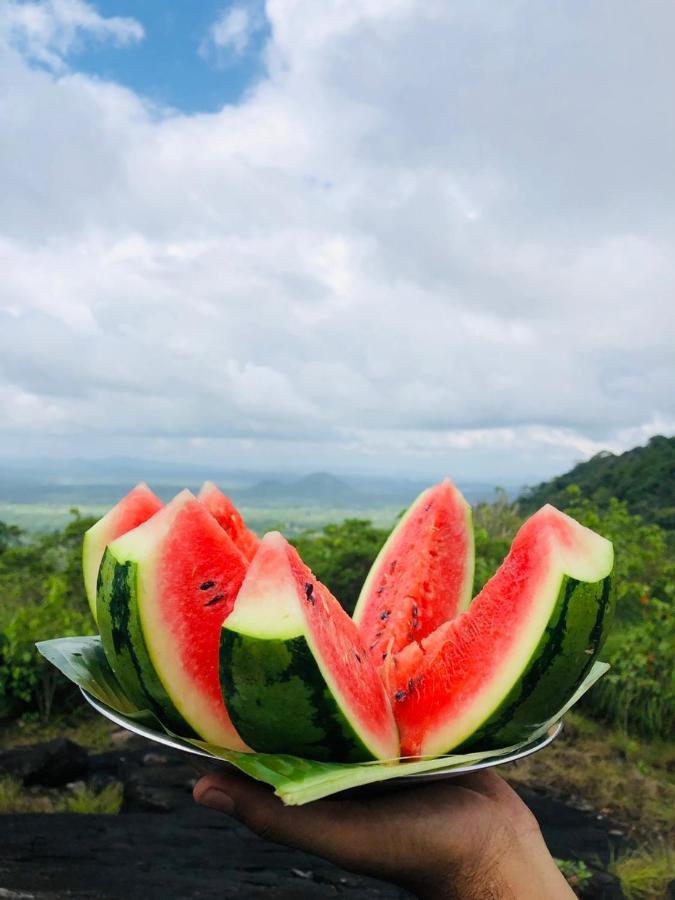 Eco Village Kalundewa Dambulla Exteriér fotografie