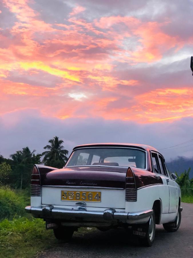 Eco Village Kalundewa Dambulla Exteriér fotografie