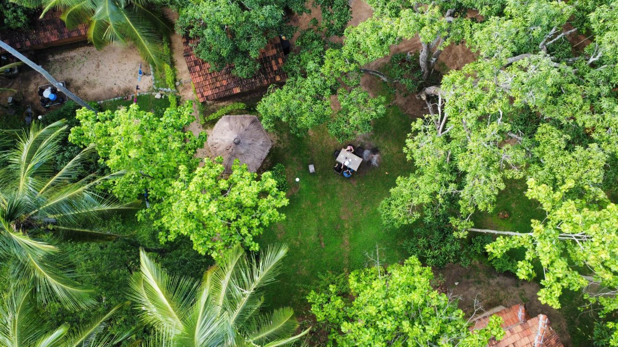 Eco Village Kalundewa Dambulla Exteriér fotografie