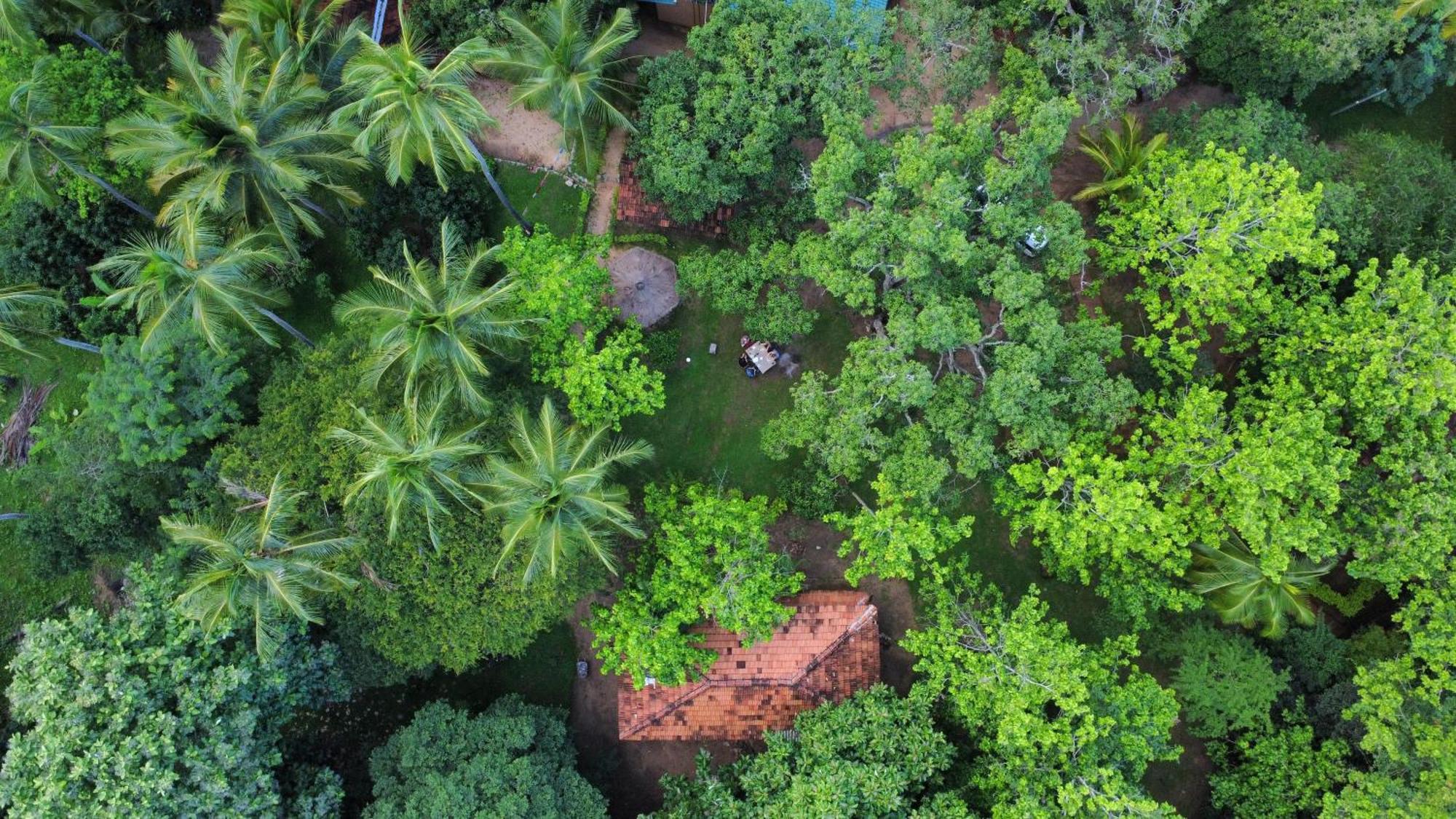 Eco Village Kalundewa Dambulla Exteriér fotografie