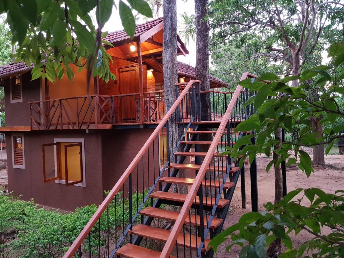 Eco Village Kalundewa Dambulla Exteriér fotografie