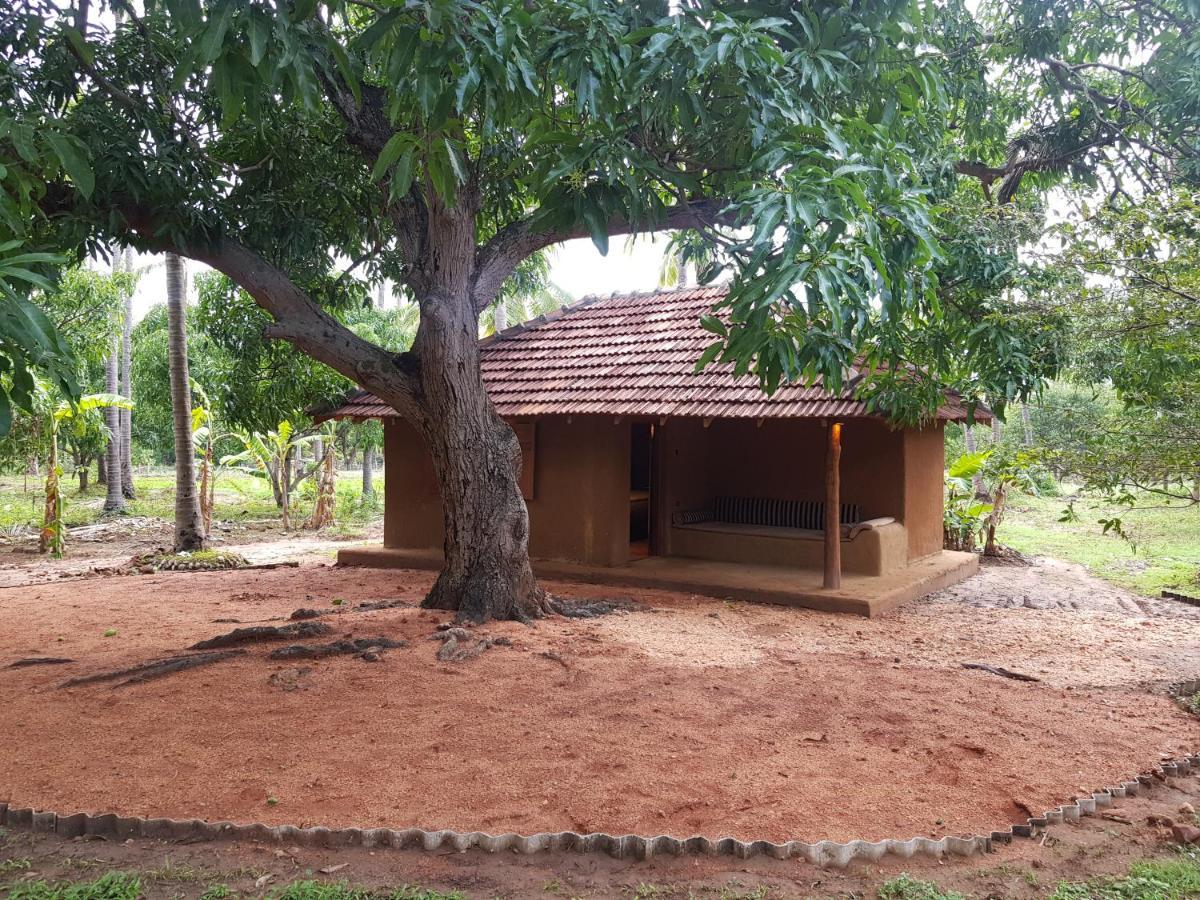 Eco Village Kalundewa Dambulla Exteriér fotografie