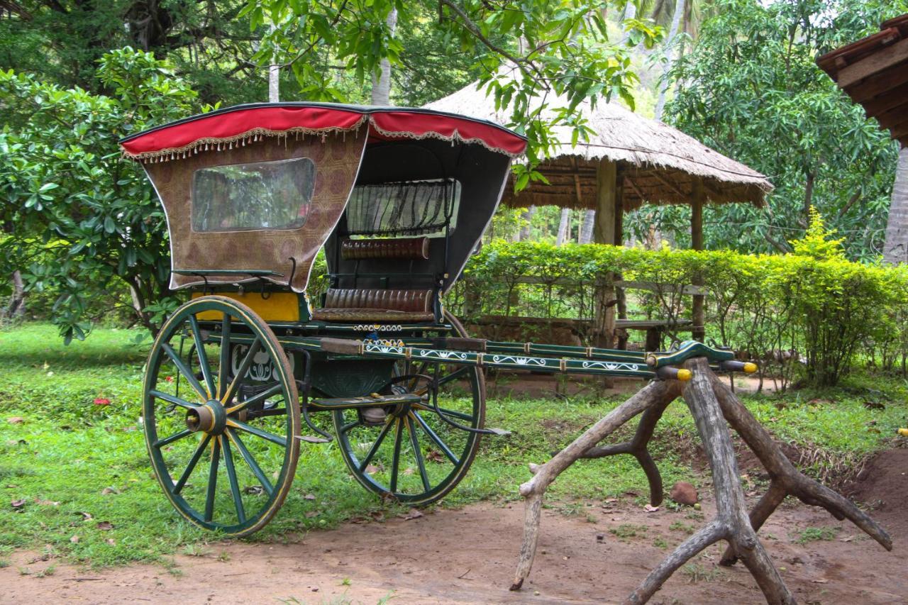 Eco Village Kalundewa Dambulla Exteriér fotografie