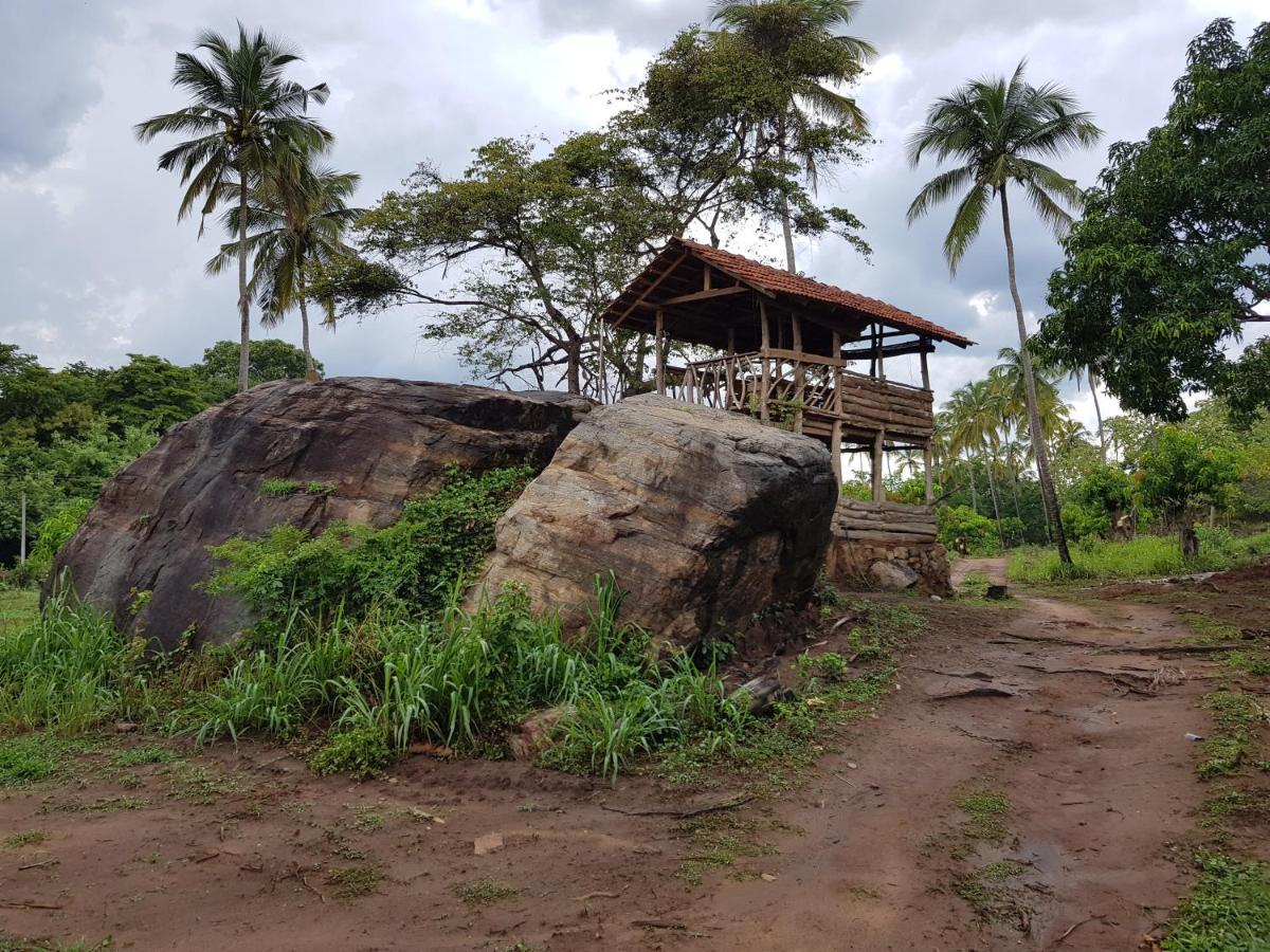 Eco Village Kalundewa Dambulla Exteriér fotografie