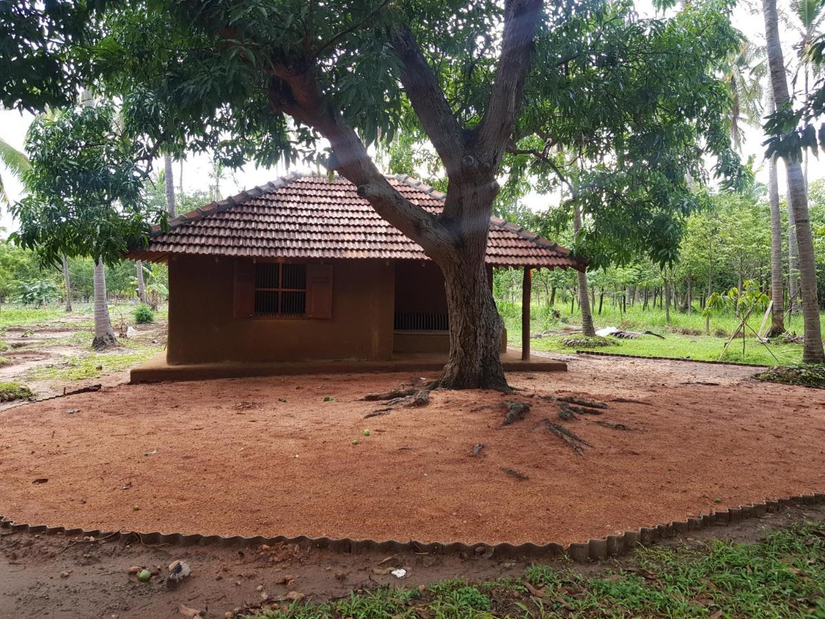 Eco Village Kalundewa Dambulla Exteriér fotografie