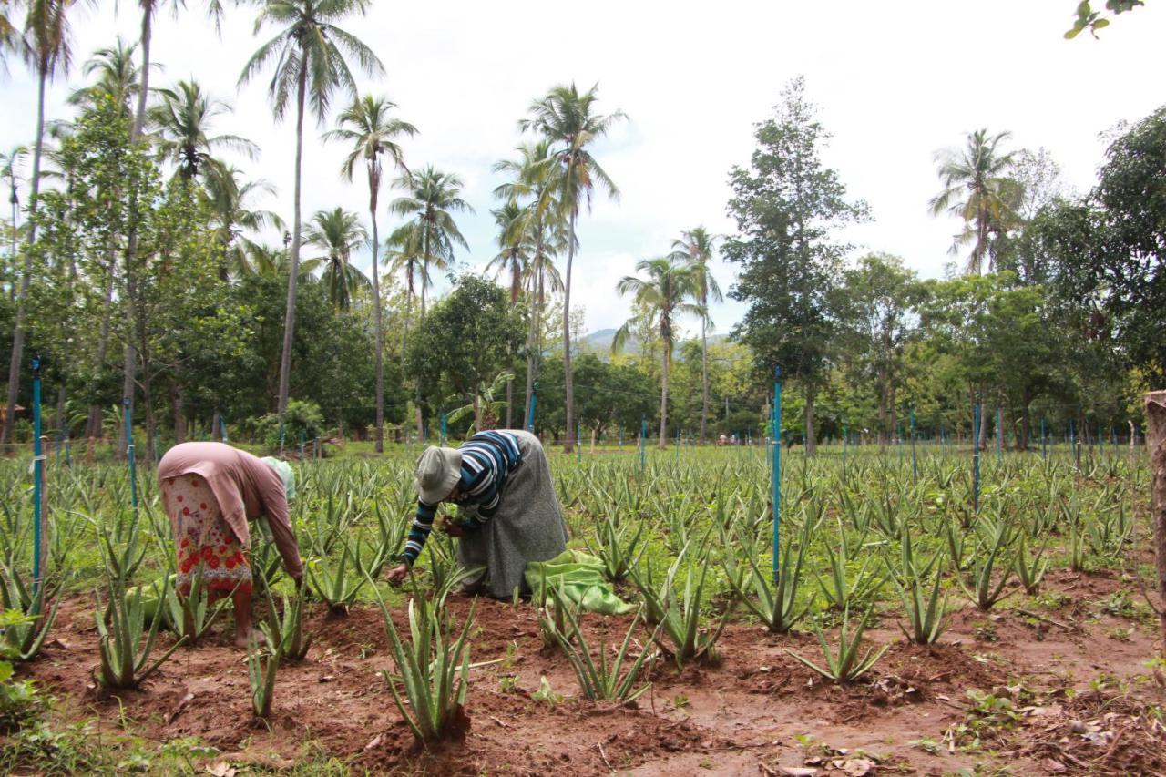 Eco Village Kalundewa Dambulla Exteriér fotografie