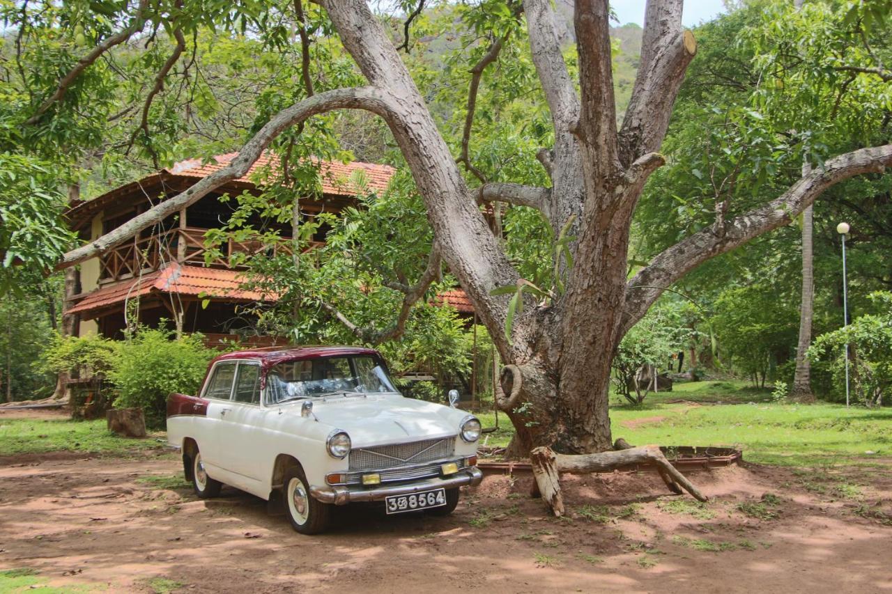 Eco Village Kalundewa Dambulla Exteriér fotografie