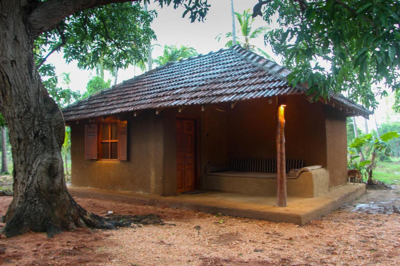 Eco Village Kalundewa Dambulla Exteriér fotografie