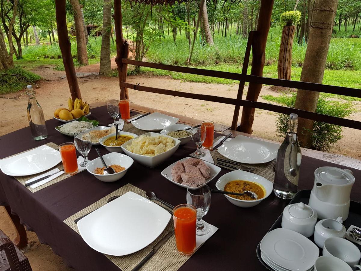 Eco Village Kalundewa Dambulla Exteriér fotografie